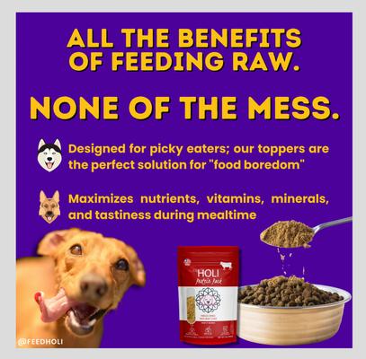 Beef Liver Protein Pack Grain-Free Freeze-Dried Dog Food Topper, 4-oz bag