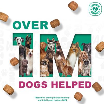 Advanced Probiotics & Prebiotics Dog Supplement, 225 count