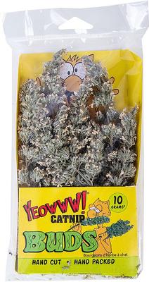 Catnip Buds Cat Pet Grass, 0.066-oz bag