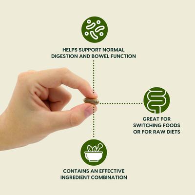 Gentle Digest Dog & Cat Capsules, 60 capsules