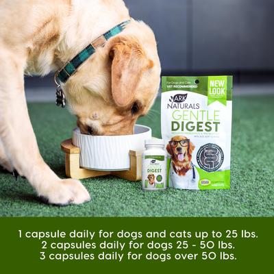 Gentle Digest Dog & Cat Capsules, 60 capsules