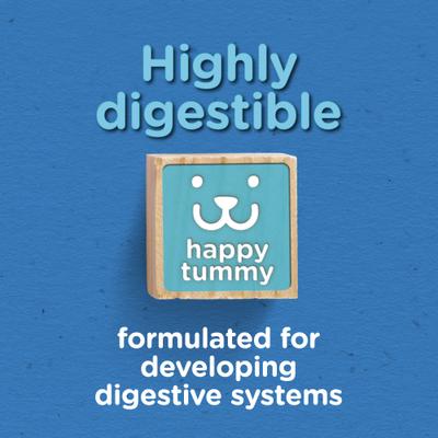 Tender & Crunchy with Real Beef Dry Dog Food, 30-lb bag