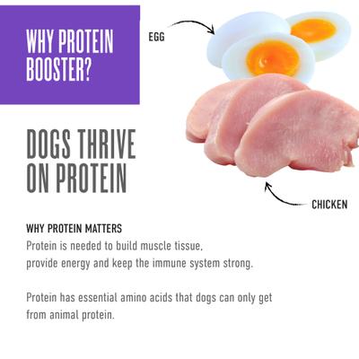 Born Carnivore Protein Booster Chicken & Egg Recipe in Broth Grain-Free Dog Food Topper, 2.1-oz pouch, case of 12