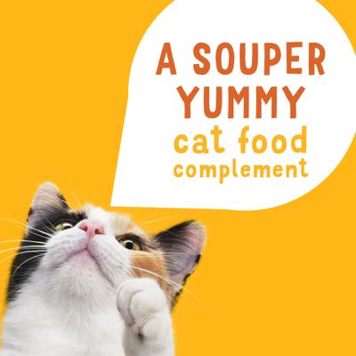 Lil' Soups - Paquete variado de salmón, atún y camarones, trocitos sin cereales en caldo, alimento húmedo para gatos para lamer, bandeja de 1.2 oz, caja de 30