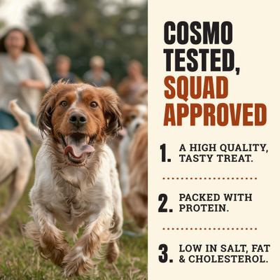 Palitos sabrosos de cerdo a la barbacoa, premios de carne seca con alto contenido proteico para perros, 24 unidades