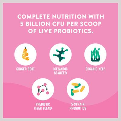 Gut Health Standard Breed Dog Supplement, 60 scoops