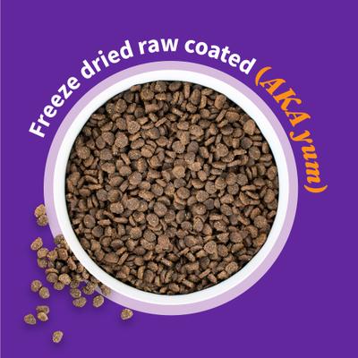 Elevate Healthy Grains Puppy Formula Chicken Recipe Dry Dog Food, 20-lb bag