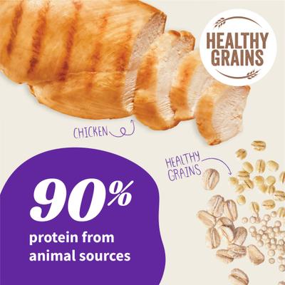 Elevate Healthy Grains Puppy Formula Chicken Recipe Dry Dog Food, 20-lb bag