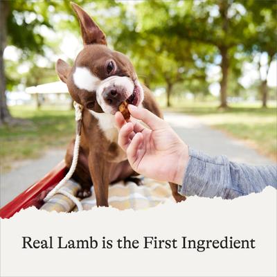 Lamb Recipe Grain-Free Oven Baked Crunchy Biscuit Dog Treats, 8-oz bag
