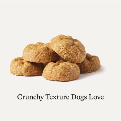 Lamb Recipe Grain-Free Oven Baked Crunchy Biscuit Dog Treats, 8-oz bag