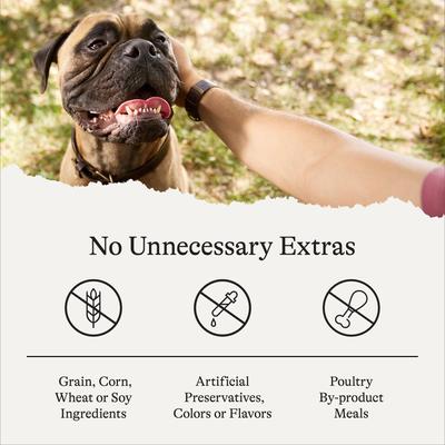 Lamb Recipe Grain-Free Oven Baked Crunchy Biscuit Dog Treats, 8-oz bag