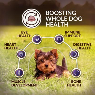 Ocean New Zealand Whole Dog Health Adult Grain-Free King Salmon Dry Dog Food, 4-lb bag