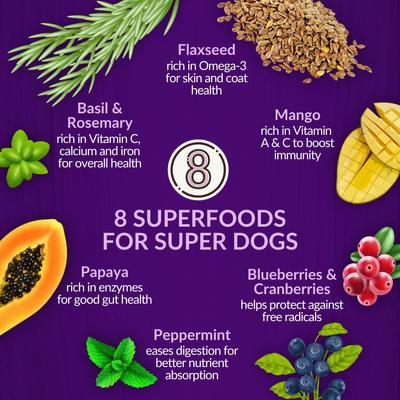 Ocean New Zealand Whole Dog Health Adult Grain-Free King Salmon Dry Dog Food, 4-lb bag