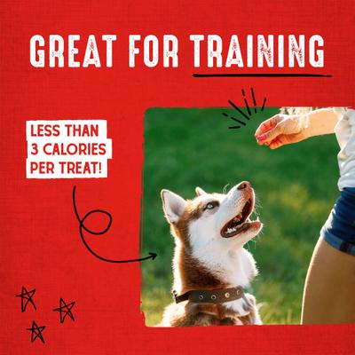 Carnivore Crunch Cage-Free Turkey Recipe Freeze-Dried Raw Dog Treats, 3.25-oz bag