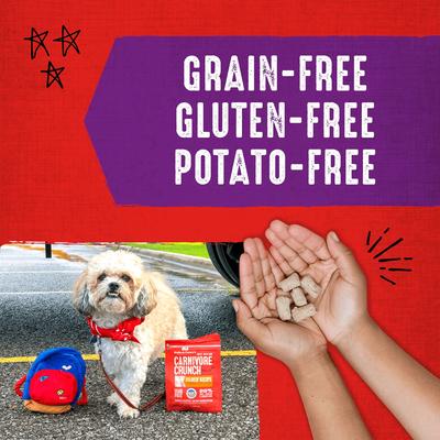 Carnivore Crunch Cage-Free Turkey Recipe Freeze-Dried Raw Dog Treats, 3.25-oz bag