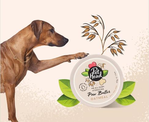 On All Paws Oatmeal Cat & Dog Paw Butter Soothes & Nourishes Paws & Noses, 1.4-fl oz jar