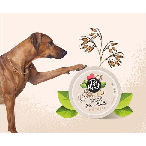 Mantequilla de avena para patas de perros y gatos On All Paws: alivia y nutre las patas y la nariz, frasco de 1.4 onzas líquidas