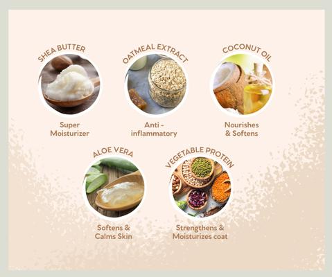 On All Paws Oatmeal Cat & Dog Paw Butter Soothes & Nourishes Paws & Noses, 1.4-fl oz jar