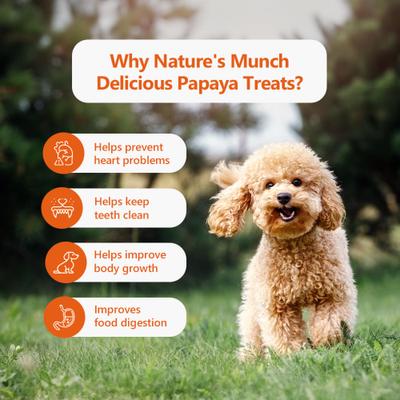 Nature's Munch Freeze-Dried Papaya All Natural Vegan Dog Training Treat, 1.41-oz bag