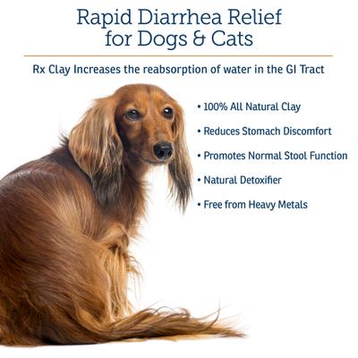 Rx Clay Powder Digestive Supplement for Dogs, 100-g