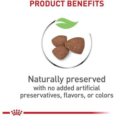 Alimento seco para perros Size Health Nutrition para cachorros pequeños, bolsa de 14 lb