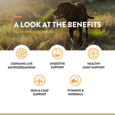 Scoopables All-In-One 4-in-1 Support Dog Supplement, 11-oz bag