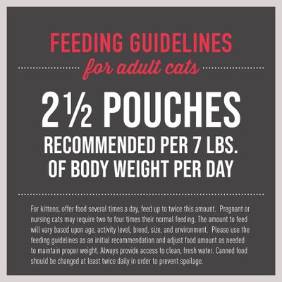 Aloha Friends Chicken, Pumpkin & Beef Recipe in Broth Grain-Free Wet Cat Food, 2.5-oz pouch, case of 12