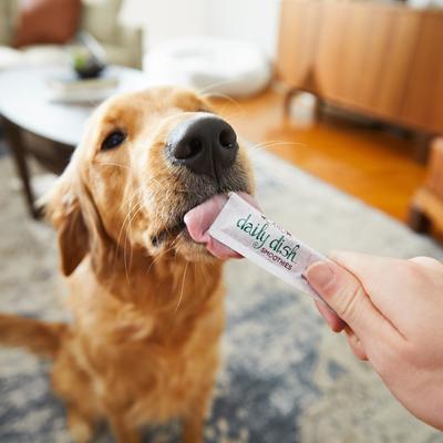 Daily Dish Smoothies Peanut Butter Flavored Lickable Dog Treats, 0.5-oz tube, 4 count