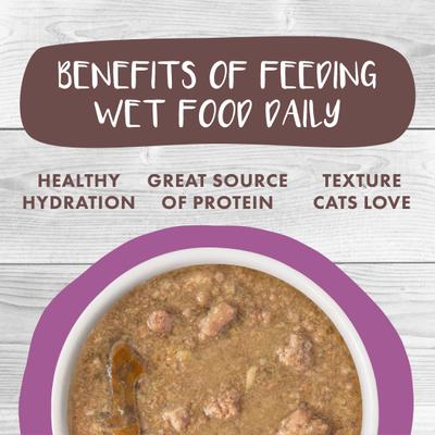 Classic Cat Stewbacca Chicken, Duck & Salmon in Gravy Stew Canned Cat Food, 2.8-oz can, case of 12