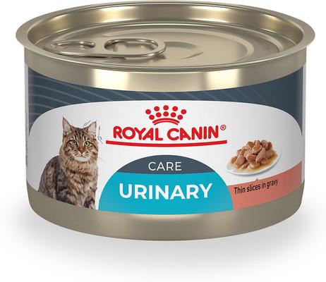 Feline Care Nutrition Urinary Care Thin Slices in Gravy Wet Cat Food, 3-oz can, case of 6