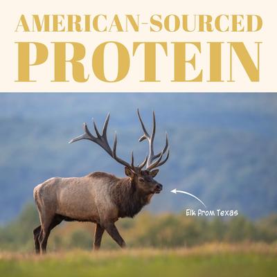 ¡Premios Chew! Premium Crunchy Elk Recipe sin cereales para perros, bolsa de 125 g