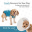 Recovery Suit Post-Surgery Dog Onesie, Blue, Small