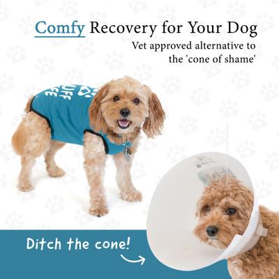 Recovery Suit Post-Surgery Dog Onesie, Blue, Small