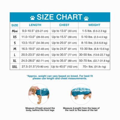 Recovery Suit Post-Surgery Dog Onesie, Blue, Small