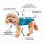 Recovery Suit Post-Surgery Dog Onesie, Blue, Small