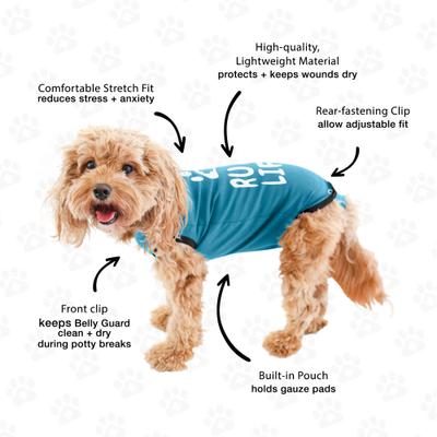 Recovery Suit Post-Surgery Dog Onesie, Blue, Small