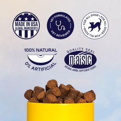 Allergy & Itch Beef Liver Flavored Soft Chew Allergy Supplement for Dogs, 90 count