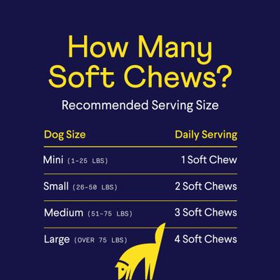 Allergy & Itch Beef Liver Flavored Soft Chew Allergy Supplement for Dogs, 90 count