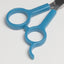 Fromm International Diane Premier Curved Point-Tip Shear 111SC, 6.5-in