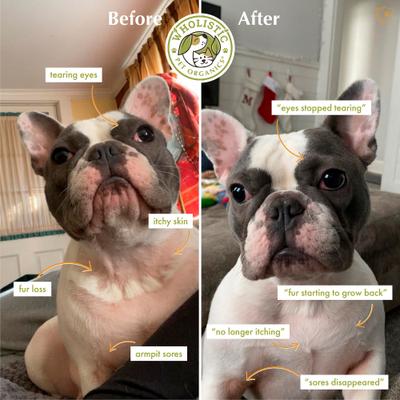 Pure Colostrum Immune Balance Dog & Cat, 2-oz jar