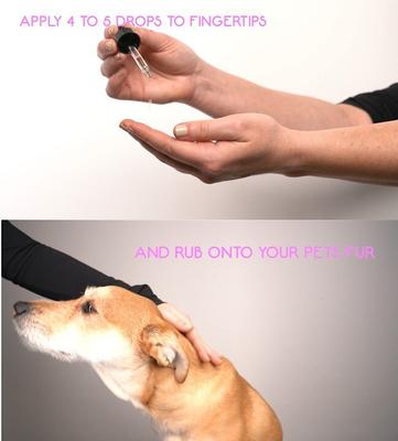 Cool Calming Essential Oil for Dogs, 1-fl oz bottle