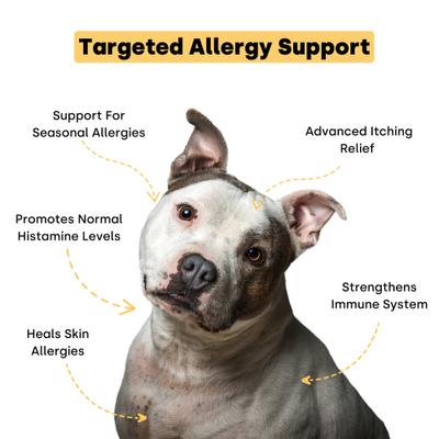 Itch & Allergy Turkey & Salmon Flavored Chews Allergy Supplement for Dogs, 90 count