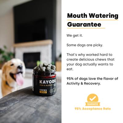 Itch & Allergy Turkey & Salmon Flavored Chews Allergy Supplement for Dogs, 90 count