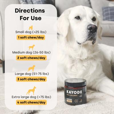 Itch & Allergy Turkey & Salmon Flavored Chews Allergy Supplement for Dogs, 90 count