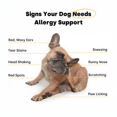 Itch & Allergy Turkey & Salmon Flavored Chews Allergy Supplement for Dogs, 90 count