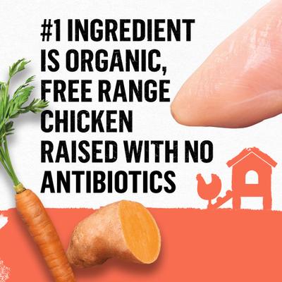 Organic Chicken Recipes Variety Pack High Protein Wet Dog Food, 13-oz can, case of 12