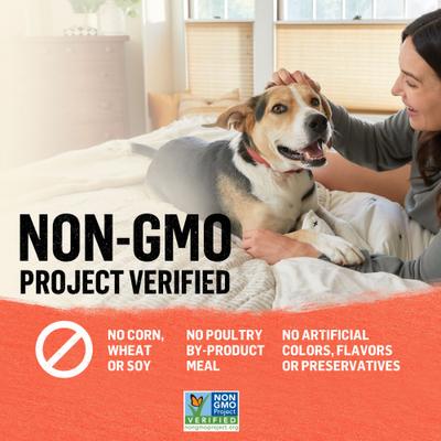 Organic Chicken Recipes Variety Pack High Protein Wet Dog Food, 13-oz can, case of 12