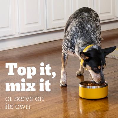 High Protein Chicken & Turkey Flavor in Gravy Canned Wet Dog Food, 13.2-oz can, case of 12