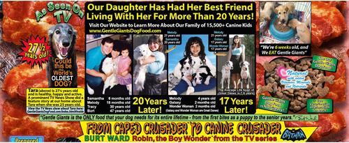 Natural Non-GMO Dog & Puppy Beef & Bacon Dry Dog Food, 24-lb bag