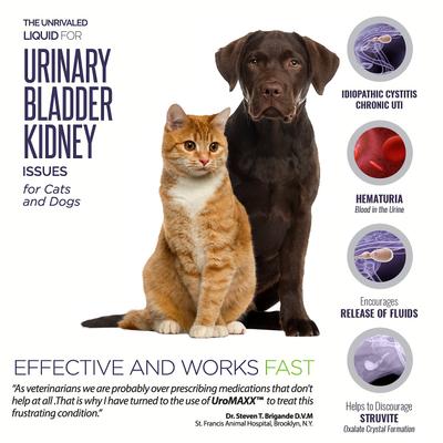 UroMAXX Urinary, Kidney & Bladder Dog & Cat Supplement, 6-fl oz bottle